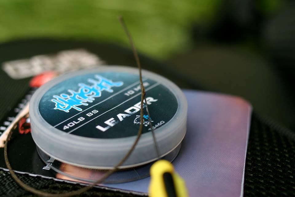 NASH - 1005417615383321814445793491n.jpg